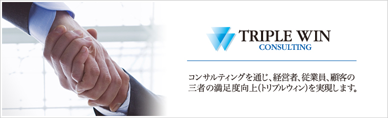 TRIPLE WIN CONSULTING